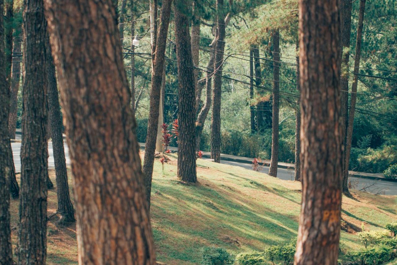 Azalea Residences Baguio Baguio City Buitenkant foto