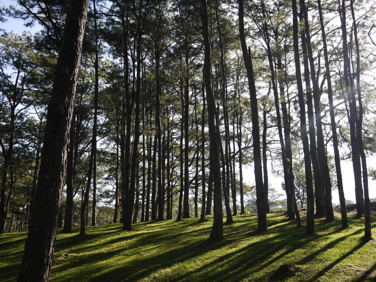 Azalea Residences Baguio Baguio City Buitenkant foto